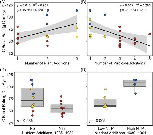 High rates of carbon burial linked to autochthonous production in artificial ponds