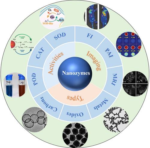 Application of Nanozymes in Biomedical Imaging