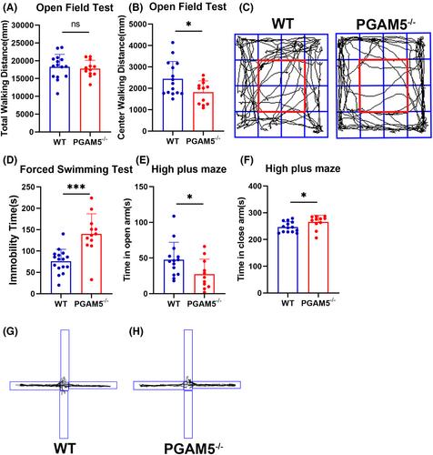 PGAM5 knockout causes depressive-like behaviors in mice via ATP deficiency in the prefrontal cortex