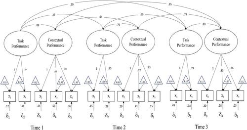 Examining the assumption of measurement invariance in job performance ratings across time: The role of rater experience