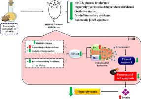 Antihyperglycemic effect of extra virgin sacha inchi oil in type 2 diabetic rats: Mechanisms involved in pancreatic β-cell function and apoptosis