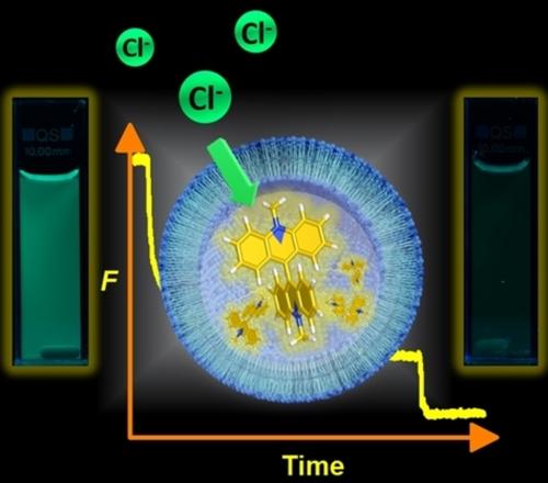 The Lucigenin Assay: Measuring Anion Transport in Lipid Vesicles**