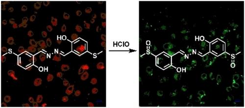 A Readily Available Red-Emitting Methylthio-Substituted Salicylaldehyde Azine with AIE Feature for Ratiometric Detection of HClO