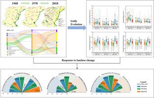 Historical evolution of gully erosion and its response to land use change during 1968–2018 in the Mollisol region of Northeast China