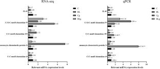 Transcriptome analysis of the immunoprotective effect of Bacillus licheniformis on the intestinal tract of Carassius auratus gibelio infected with Aeromonas hydrophila