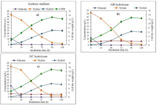 Exploration of Hemicellulosic Hydrolysates Derived from Arundo Donax and Cynodon Dactylon as Potential Substrates for Microbial Protein Production by Candida Tropicalis