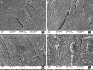 Exploring the Potential of Coffee Husks as a Raw Material for Second-Generation Ethanol Production