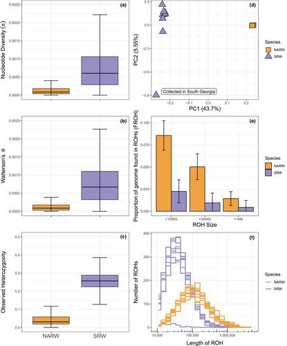 A comparison of genomic diversity and demographic history of the North Atlantic and Southwest Atlantic southern right whales