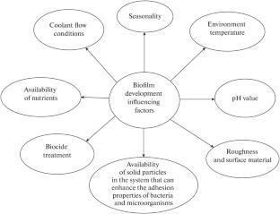 Biological Pollution of Technological Equipment and the Chemically Desalting Water Treatment Plant at a TPP (Review)