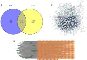 Screening and identification of active compounds of GanZhiRong granule based on liquid chromatography-mass spectrometry and biomolecular networks