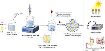 Preparation and characterization of particle-filled microgels by ion induction based on zein and κ-carrageenan for delivering the CoQ10