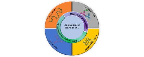 Electrochemical ratiometry: A new route towards bioaffinity-based in vitro diagnostics