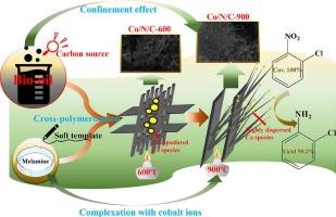 Bio-oil as a carbon source for synthesis of pin-like cobalt catalyst for hydrogenation of o-chloronitrobenzene