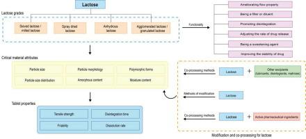 Lactose in tablets: Functionality, critical material attributes, applications, modifications and co-processed excipients