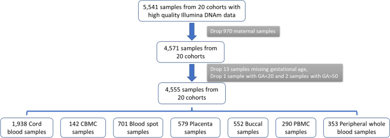 Evaluation of pediatric epigenetic clocks across multiple tissues.