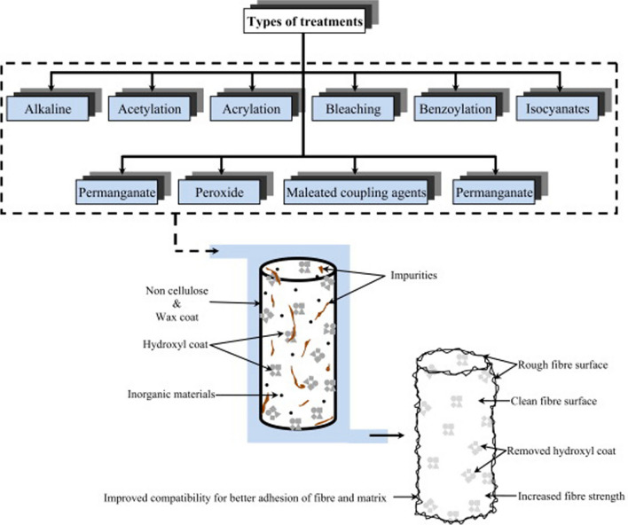 Fiber chemistry and technology: their contributions to shaping Society 5.0