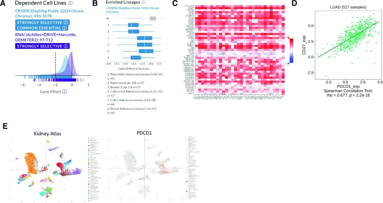 Effectively utilizing publicly available databases for cancer target evaluation.