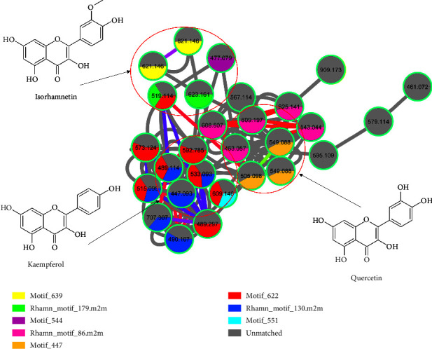 A Relook into the Flavonoid Chemical Space of <i>Moringa oleifera</i> Lam. Leaves through a Combination of LC-MS and Molecular Networking.