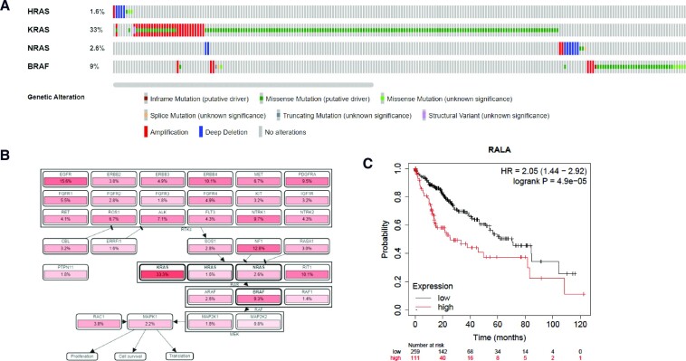 Effectively utilizing publicly available databases for cancer target evaluation.