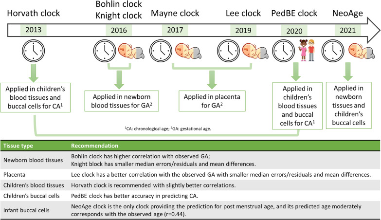 Evaluation of pediatric epigenetic clocks across multiple tissues.