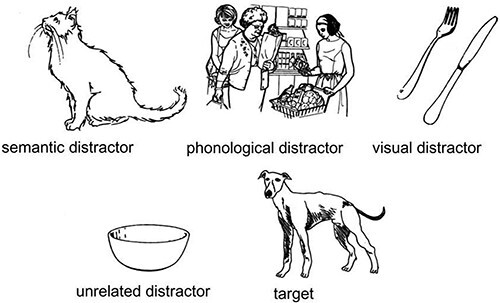 Assessing Lexical and Syntactic Comprehension in Deaf Signing Adults.