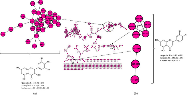 A Relook into the Flavonoid Chemical Space of <i>Moringa oleifera</i> Lam. Leaves through a Combination of LC-MS and Molecular Networking.