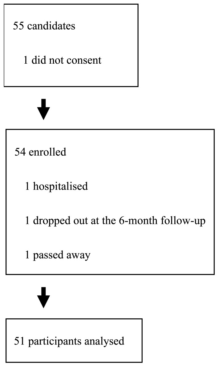 A 6-Month Follow-up Study on Adherence and Satisfaction with Lower Limb Prostheses and Orthoses Delivered to Community-Dwelling People in Japan.