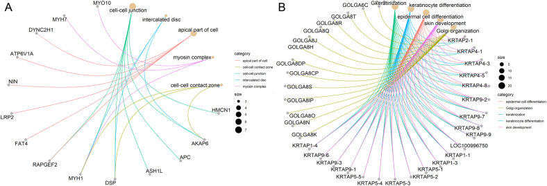 Whole-exome sequencing of rectal neuroendocrine tumors.