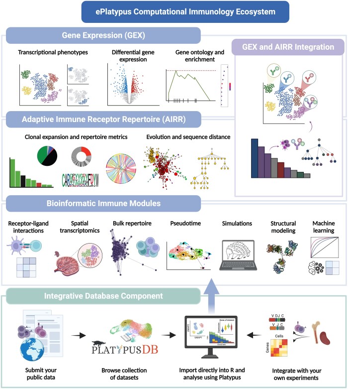 ePlatypus: an ecosystem for computational analysis of immunogenomics data.