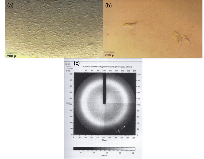 Crystallisation and characterisation of muscle proteins: a mini-review.
