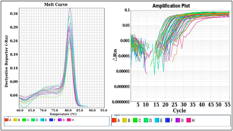 Long Non-Coding RNA TUG1 Gene Polymorphism and TUG1 Expression Level as Molecular Biomarkers of Systemic Lupus Erythematosus and Lupus Nephritis.