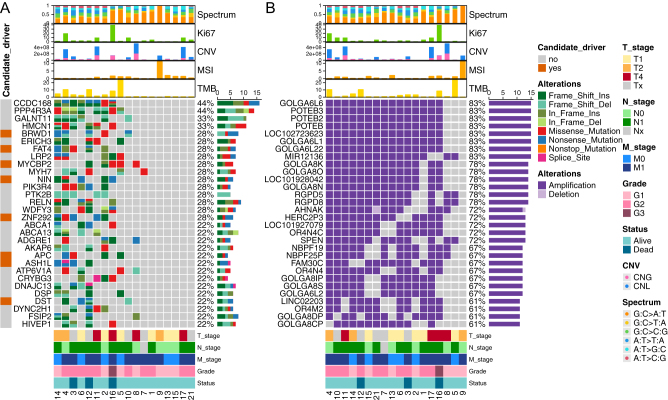 Whole-exome sequencing of rectal neuroendocrine tumors.