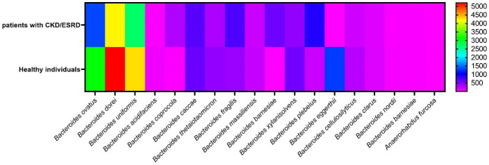 Diversity of <i>Bacteroidaceae</i> family in gut microbiota of patients with chronic kidney disease and end stage renal disease.