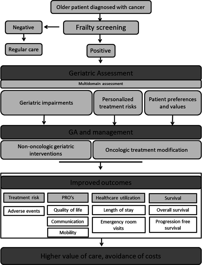 Geriatric assessment for older people with cancer: policy recommendations.