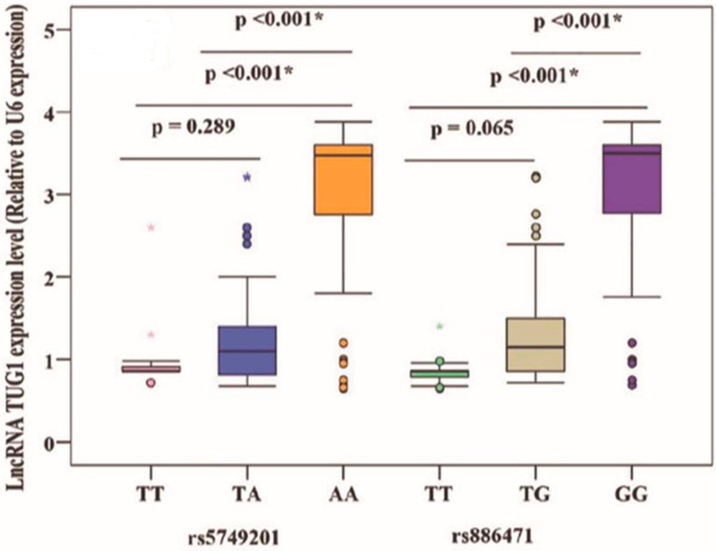 Long Non-Coding RNA TUG1 Gene Polymorphism and TUG1 Expression Level as Molecular Biomarkers of Systemic Lupus Erythematosus and Lupus Nephritis.