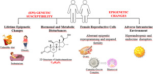 Are epigenetic mechanisms and nutrition effective in male and female infertility?