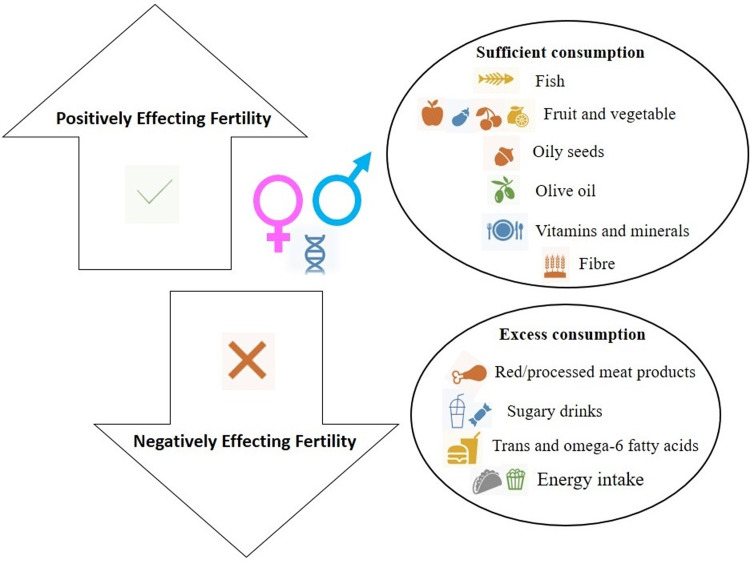 Are epigenetic mechanisms and nutrition effective in male and female infertility?