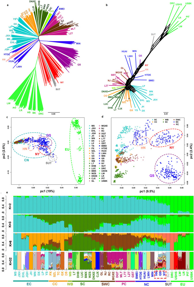 Potential selection for lipid kinase activity and spermatogenesis in Henan native pig breeds and growth shaping by introgression of European genes.