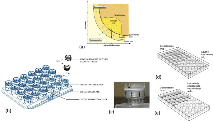 Crystallisation and characterisation of muscle proteins: a mini-review.