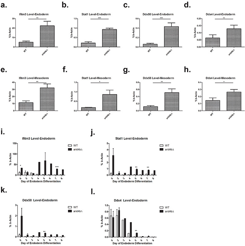 ARID4B loss leads to activated STAT1-dependent interferon pathway in mouse embryonic stem cells and during meso/endodermal differentiation.