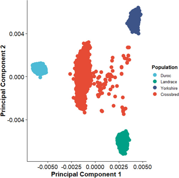 Analysis of polygenic selection in purebred and crossbred pig genomes using generation proxy selection mapping.