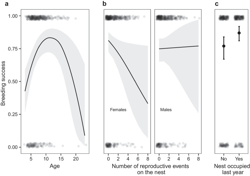 Age, brood fate, and territory quality affect nest-site fidelity in white stork Ciconia ciconia.