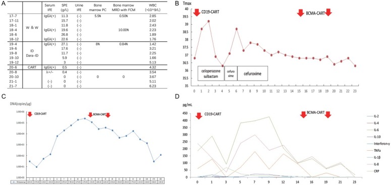 A first case report of using chimeric antigen receptor T-cell immunotherapy to treat high-risk smoldering multiple myeloma.