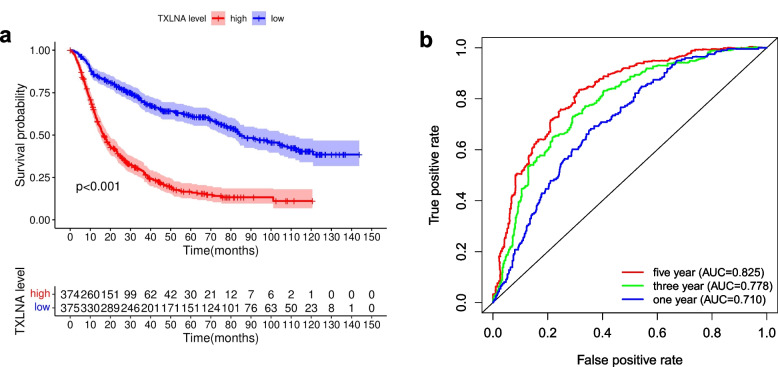 Expression of TXLNA in brain gliomas and its clinical significance: a bioinformatics analysis.