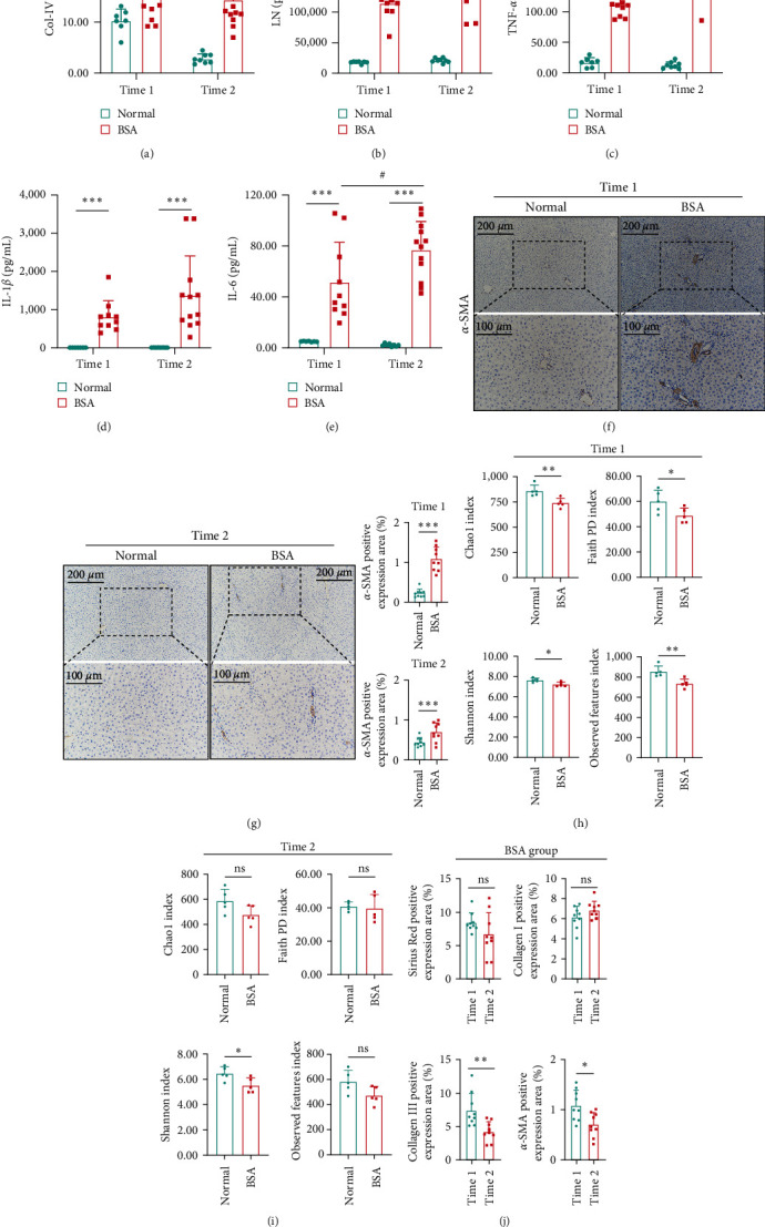 Alterations in the "Gut-Liver Axis" on Rats with Immunological Hepatic Fibrosis.