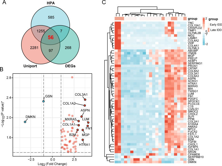 Identification and experimental validation of key extracellular proteins as potential targets in intervertebral disc degeneration.