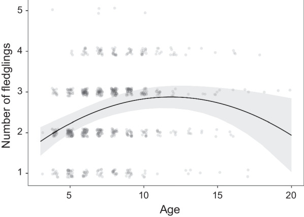 Age, brood fate, and territory quality affect nest-site fidelity in white stork Ciconia ciconia.