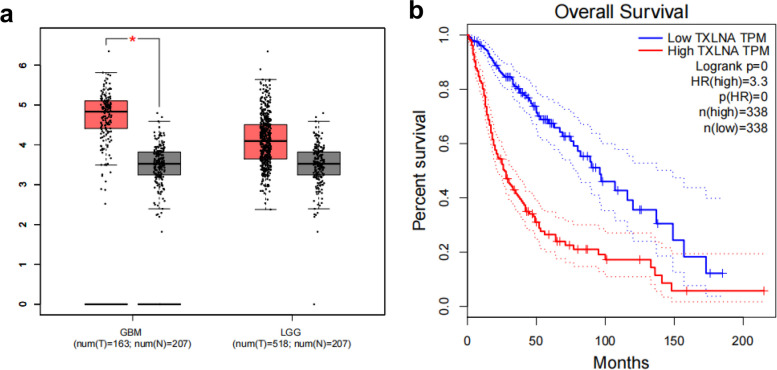 Expression of TXLNA in brain gliomas and its clinical significance: a bioinformatics analysis.