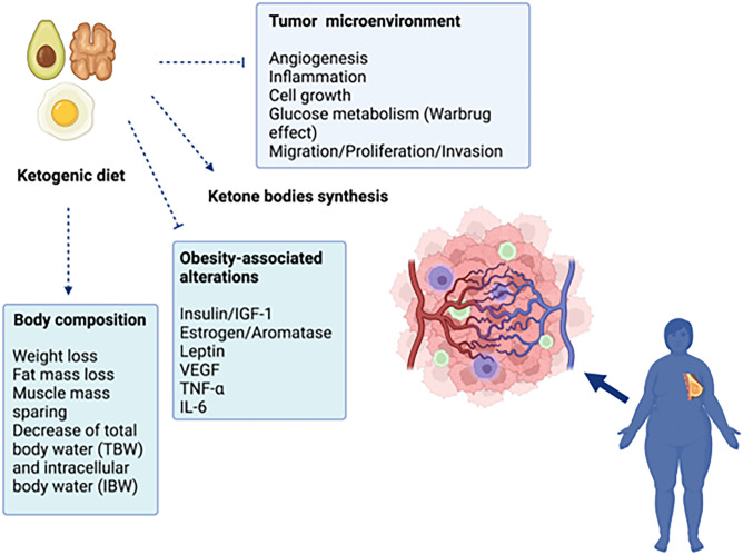 Ketogenic Diet as a Possible Non-pharmacological Therapy in Main Endocrine Diseases of the Female Reproductive System: A Practical Guide for Nutritionists.