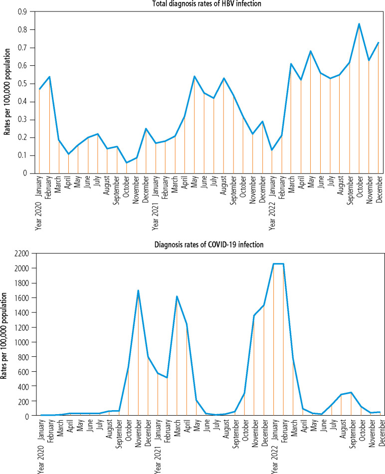 Trends of infections and mortality due to hepatitis B virus (2005-2022) and the potential impact of the COVID-19 pandemic: a population-based study in Poland.